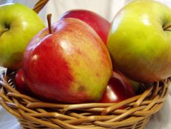 Gyors almaleves ha rádtör az éhség a fogyókúra idején